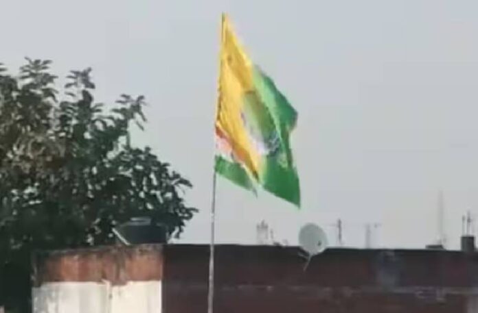 UP News