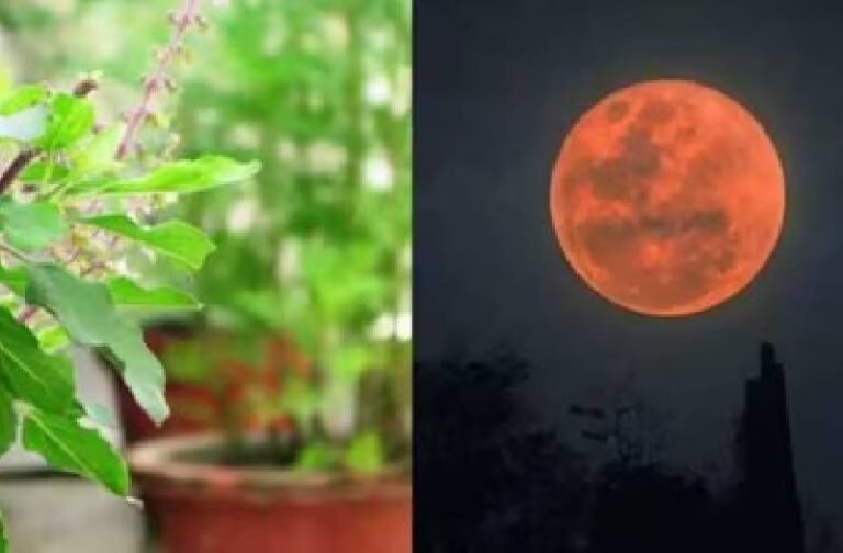 chandra grahan tulsi