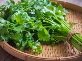 Benefits of coriander Leaf