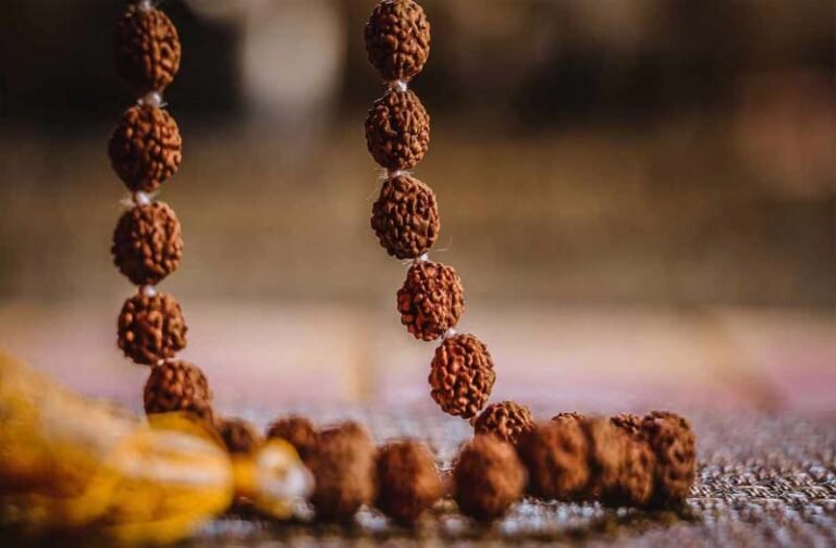 अकाल मृत्यु से रक्षा करता हैं यह रतन, Rudraksh पहनने वाले जरूर जान लें ये बातें
