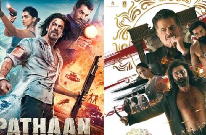 Animal Vs Pathan