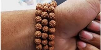 गलती से भी इन जगहों पर पहनकर न जाएं रुद्राक्ष, बर्बाद होते नहीं लगेगी देर Rudraksh