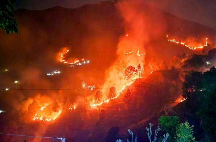 Nainital Forest Fire