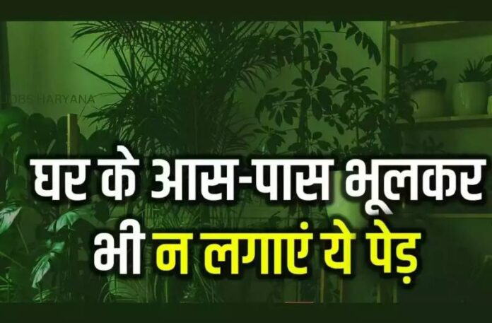 Vastu Tips