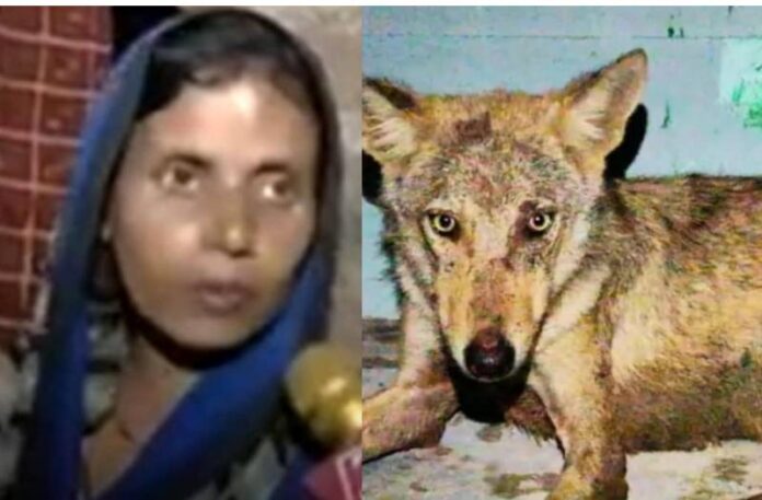 Bahraich Wolves Attack