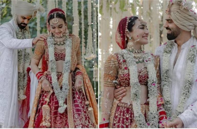 सुमित की दुल्हन बनी सुरभि ज्योति, खूबसूरत लहंगा पहन टीवी की ‘नागिन’ ने लिए सात फेरे