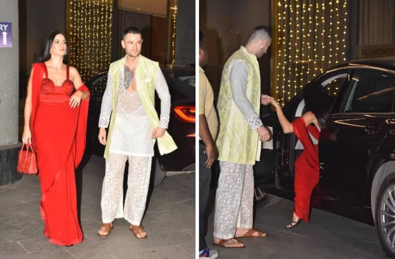 लाल साड़ी पहन दिवाली पार्टी में शामिल हुई नताशा, रूमर्ड बॉयफ्रेंड का हाथ थामे दिखी हार्दिक की एक्स वाइफ