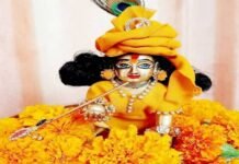 लड्डू गोपाल को गर्मियों में इन 5 चीजों का लगाना चाहिए भोग, घर में होगी बरकत Laddu Gopal Seva Niyam