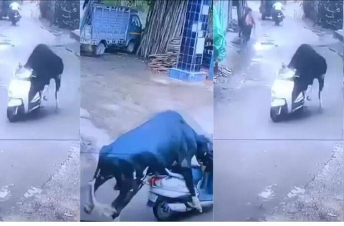 viral video