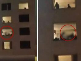 Jaipur Hotel Couple Video.
