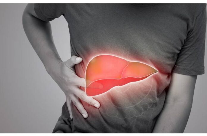 liver