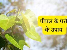 pipal ke patte ke upay