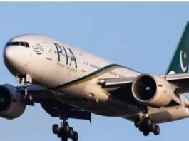 pia
