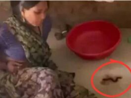 Ajab Gajab News