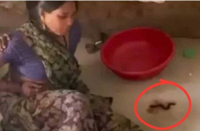 Ajab Gajab News