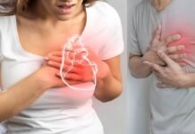 हार्ट अटैक अचानक नहीं आता! शोध में हुआ खुलासा, ये संकेत दिखाते हैं पहले से जोखिम Health News