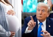 प्रेग्नेंट महिलाओं को पैरासिटामोल से खतरा? ट्रंप के दावे पर WHO का बड़ा बयान आया सामने WHO