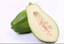 कच्चे पपीते का अनकहा राज़: हार्ट डिज़ीज ही नहीं, जानलेवा बीमारियों से भी बचाता है ये सुपरफूड! ifestyle Desk