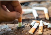 लोग समझते रहे सिगरेट है खतरनाक, लेकिन असली कातिल निकला तंबाकू! नई स्टडी ने खोला ऐसा राज़ जो चौंका देगा Health