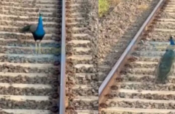 Inspiring story Inspiring story