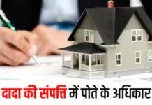 दादा ने वसीयत नहीं बनाई तो क्या अब पोते रह जाएंगे खाली हाथ? जानिए कानून क्या कहता है! Property Law