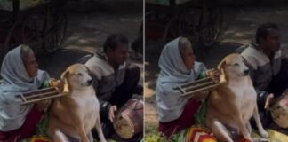 जहां इंसान बेचैन, वहां शांत बैठा ‘डोगेश भाई’! सत्संग वाला वीडियो क्यों हो रहा है इतना वायरल