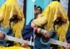 चेहरे पर घूंघट, हाथ में गिटार… वायरल दुल्हन ने इंटरनेट पर मचाया तहलका! आखिर कौन है ये दुल्हन? सच्चाई जानकर चौंक जाएंगे आप वायरल दुल्हन