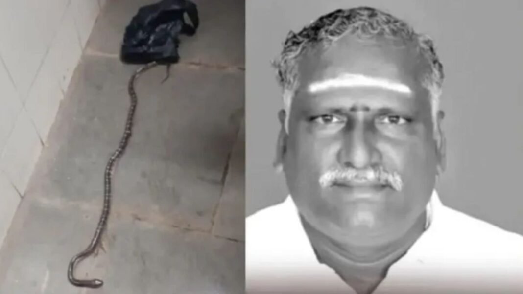 11 पॉलिसियां, 3 करोड़ का लालच… सोते पिता के पास छोड़ा सांप, फिर सामने आई चौंकाने वाली साजिश