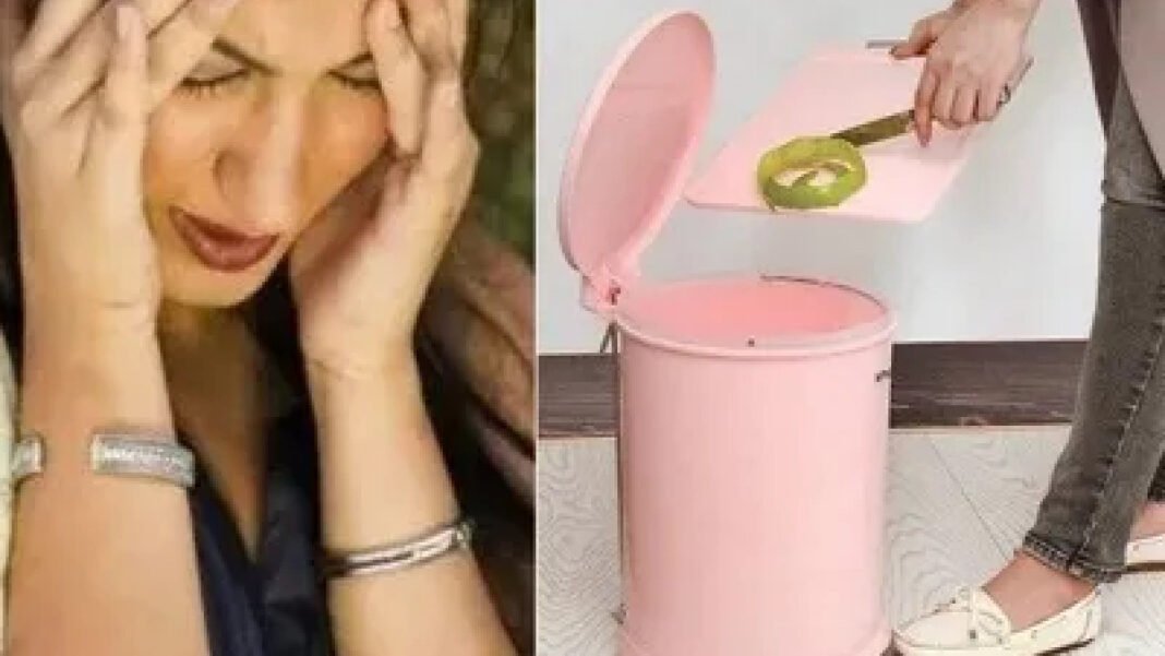 घर में डस्टबिन रखने की सही दिशा, न करें ये भूल वरना होगी आर्थिक परेशानी