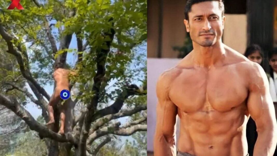 ये कोई फिल्म नहीं! बिना कपड़ों के पेड़ पर दिखे विद्युत जामवाल, वायरल वीडियो ने उड़ाए होश