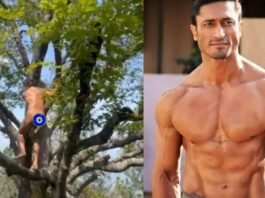 ये कोई फिल्म नहीं! बिना कपड़ों के पेड़ पर दिखे विद्युत जामवाल, वायरल वीडियो ने उड़ाए होश विद्युत जामवाल