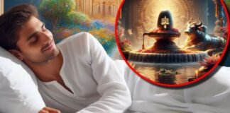 महाशिवरात्रि से पहले आया ये सपना नहीं है सामान्य! महादेव देते हैं बड़ा संकेत, जानिए 5 शुभ निशान महाशिवरात्रि