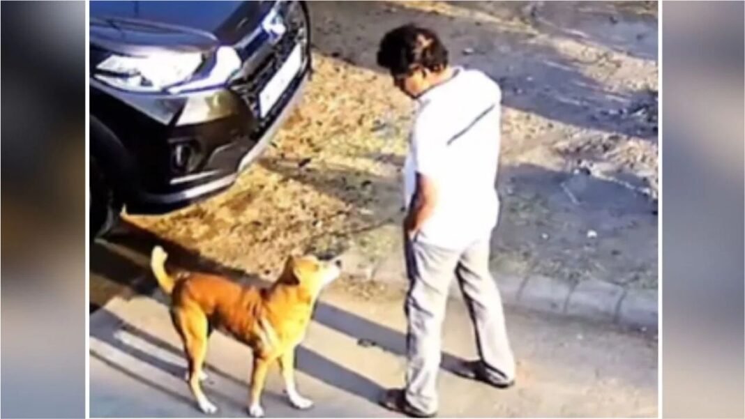 एक मिनट तक प्यार करता रहा शख्स… फिर आवारा कुत्ते ने अचानक किया खतरनाक हमला!
