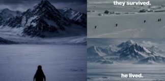 झुंड छोड़कर मौत की ओर चलता पेंगुइन! Instagram पर वायरल वीडियो की सच्चाई जानकर भर आएंगी आंखें पेंगुइन