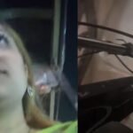 ऑटो की आगे वाली सीट पर बैठी महिला, फिर जो हुआ… सोशल मीडिया पर मचा बवाल सोशल मीडिया