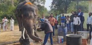 2 हजार किलोमीटर का सफर, गाजे-बाजे के बीच गांव में एंट्री… आखिर कौन है ‘जात्रा सिंह’ जिसे मां की इच्छा पर प्रतापगढ़ लाया गया? जात्रा सिंह