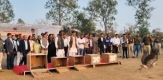 लुप्त होती उड़ान को मिली नई आस! CM मोहन यादव ने छोड़े 5 दुर्लभ गिद्ध, अब GPS से होगी हर हरकत पर नजर CM मोहन यादव