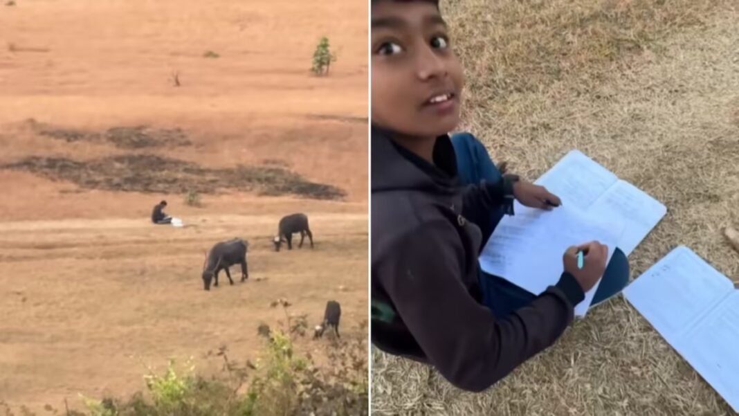 खेत बना क्लासरूम और सुबह की ठंडी हवा बनी ताकत… कर्नाटक के इस बच्चे का वीडियो क्यों छू रहा है हर दिल?