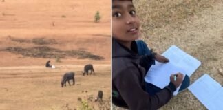 खेत बना क्लासरूम और सुबह की ठंडी हवा बनी ताकत… कर्नाटक के इस बच्चे का वीडियो क्यों छू रहा है हर दिल? कर्नाटक