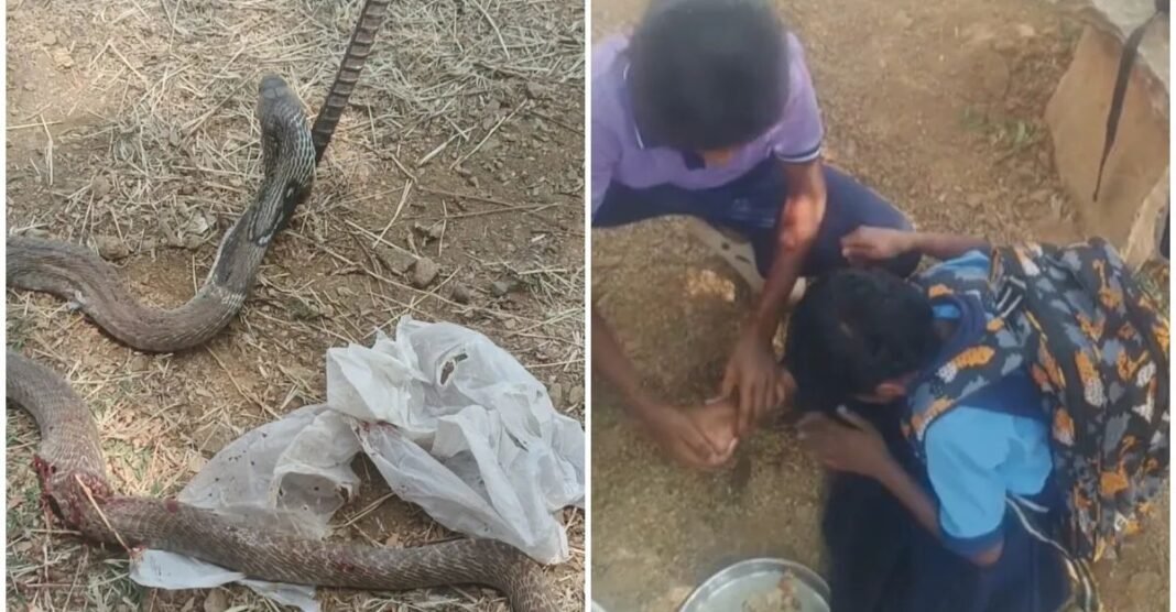 कर्नाटक