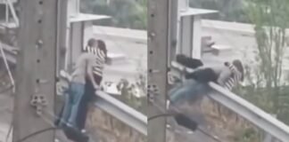 मौत वाली मोहब्बत! रेलिंग पर बैठकर रोमांस कर रहा था कपल, अचानक हुआ कुछ ऐसा कि सीधे पाताल में जा गिरे; देखें वीडियो Couple Viral Video