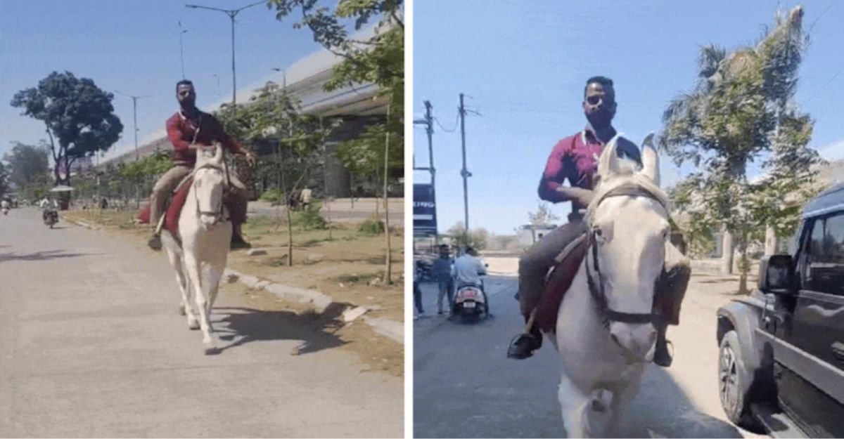 Viral Video Viral Video