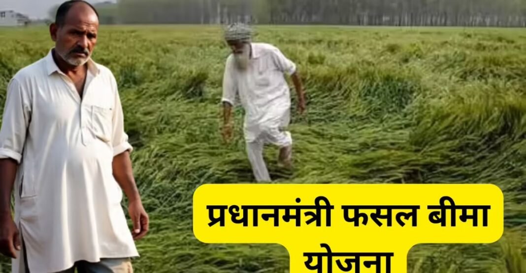 फसल में आग, बाढ़ या ओलावृष्टि? जानिए कैसे पीएम फसल बीमा योजना बचा सकती है आपकी मेहनत! PMFBY