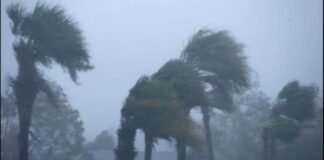 खेतों में तैयार फसल, आसमान में खतरे के बादल! यूपी में आंधी-बारिश का अलर्ट यूपी