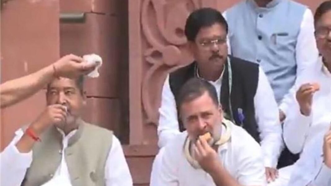 संसद की सीढ़ियों पर चाय-बिस्कुट के साथ दिखे राहुल गांधी, वायरल वीडियो ने छेड़ दी नई बहस Rahul Gandhi