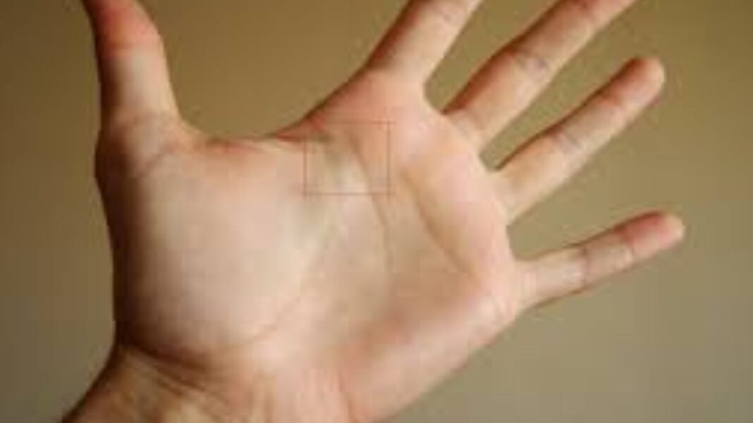 क्या आपकी हथेली में है सफलता और सम्मान का योग? हस्तरेखा में छुपा राजयोग बताएगा! यहाँ जानें सब कुछ राजयोग