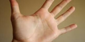 क्या आपकी हथेली में है सफलता और सम्मान का योग? हस्तरेखा में छुपा राजयोग बताएगा! यहाँ जानें सब कुछ राजयोग