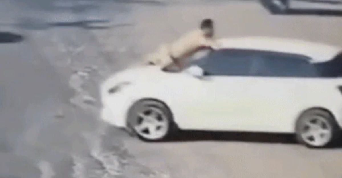 Hariyana News Hariyana News