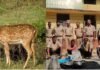 पहले हिरण को कुत्तों से बचाया फिर किया ऐसा काम जानकार खौल उठेगा खून, पुलिस ने लिया एक्शन Deer Killing Case
