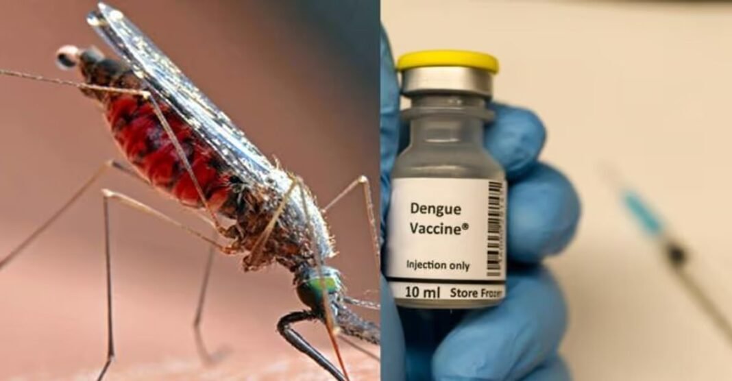 Dengue Vaccine India